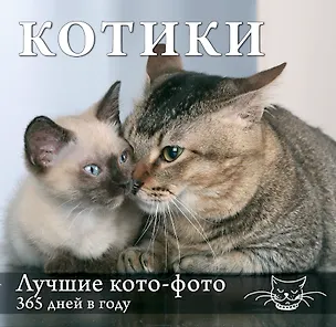 Книга Котики. Лучшие кото-фото. 365 дней в году ()
