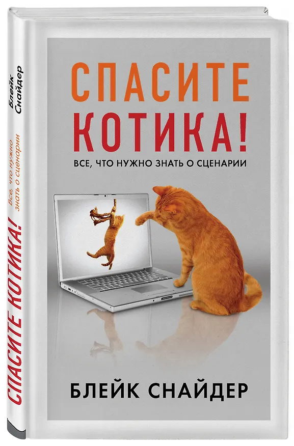 Книга Спасите котика! Все, что нужно знать о сценарии (Блейк Снайдер) — 4
