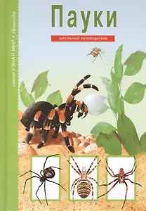 Пауки.