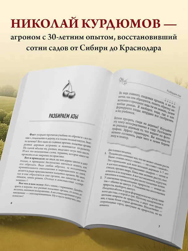 Книга Обрезка и формировка деревьев и кустарников (Николай Курдюмов) — 6