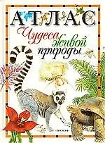 Чудеса живой природы