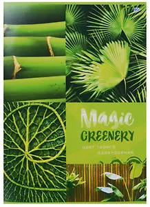 Тетрадь в клетку BG, Magic Green, А4, 96 листов, в ассортименте