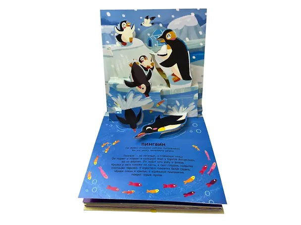 Книга Животные. Pop-up панорамка с крупными буквами () — 11
