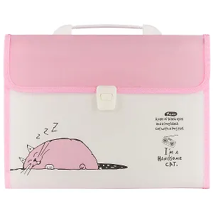 Портфель «Handsome cat», А4, 12 отделений