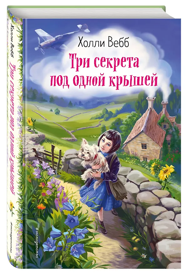 Книга Три секрета под одной крышей (Холли Вебб) — 5