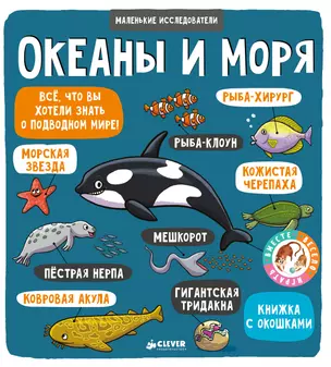 Маленькие исследователи (книжки с клапанами). Океаны и моря — 2638797 — 1