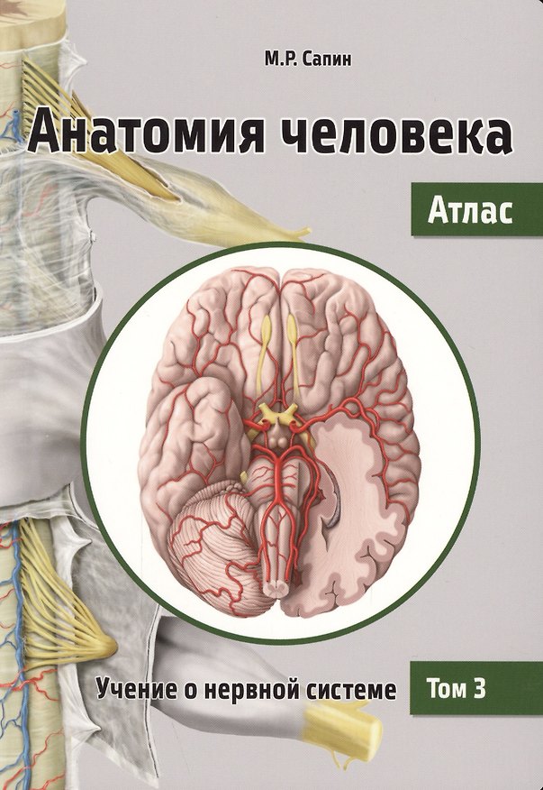 Книга Анатомия человека. Атлас. Учебное пособие. В 3 томах. Том 3: Учение о нервной системе. 2-е изд., перераб. (Михаил Сапин) — 1