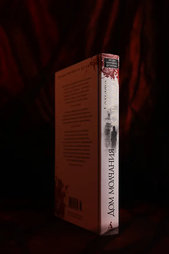 Книга Дом молчания (Донато Карризи) — 14