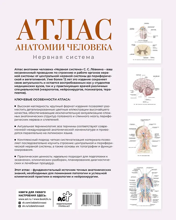 Книга Атлас анатомии человека. Нервная система (Сергей Лёвкин) — 2