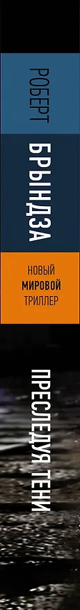 Книга Преследуя тени (Роберт Брындза) — 4