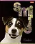 Тетрадь в клетку Hatber, "Улыбнись!", 80 листов, в ассортименте — 2900124 — 1
