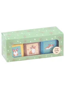Набор кубиков для ванны Corgi beauty box (3 шт по 90 г)