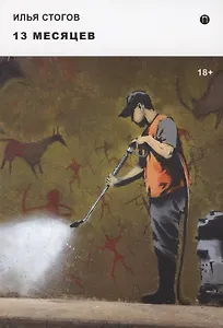 13 месяцев: роман