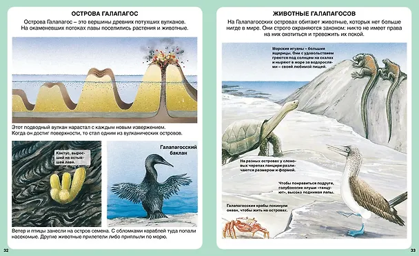 Книга Тайны моря (Эмили Бомон) — 6