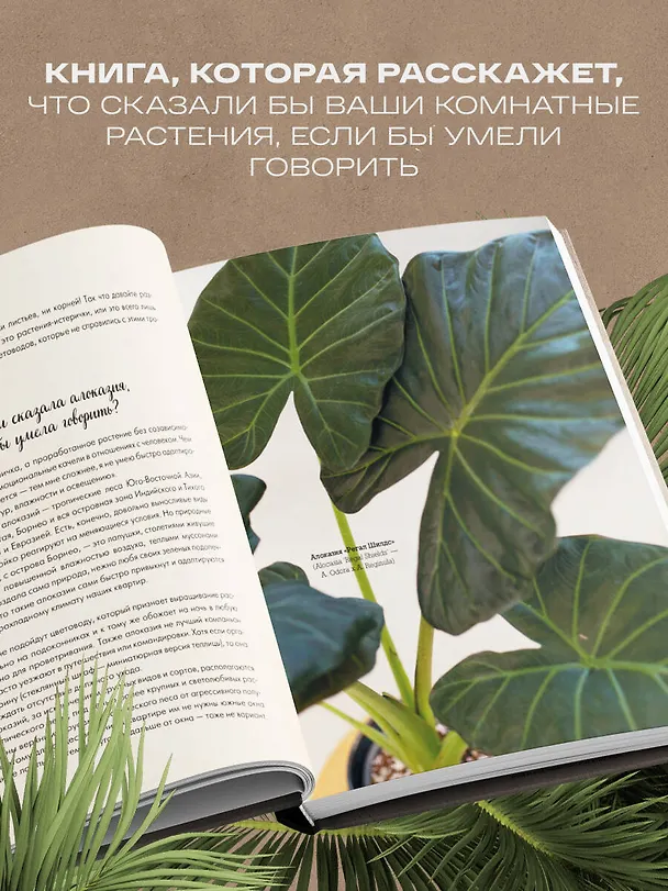 Книга Секреты комнатных джунглей. О чем молчат растения и как понять, что им нужно на самом деле (Мария Кушнир) — 7
