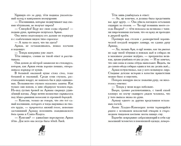 Книга Завеса Аркена (#1) (Фальк Хольцапфель) — 8