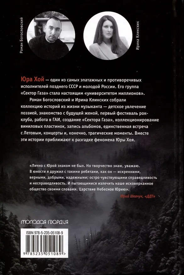 Книга Хой. Опасный путь через туман (Роман Богословский, Ирина Клинских) — 2