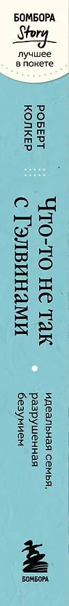 Книга Что-то не так с Гэлвинами. Идеальная семья, разрушенная безумием (Роберт Колкер) — 4