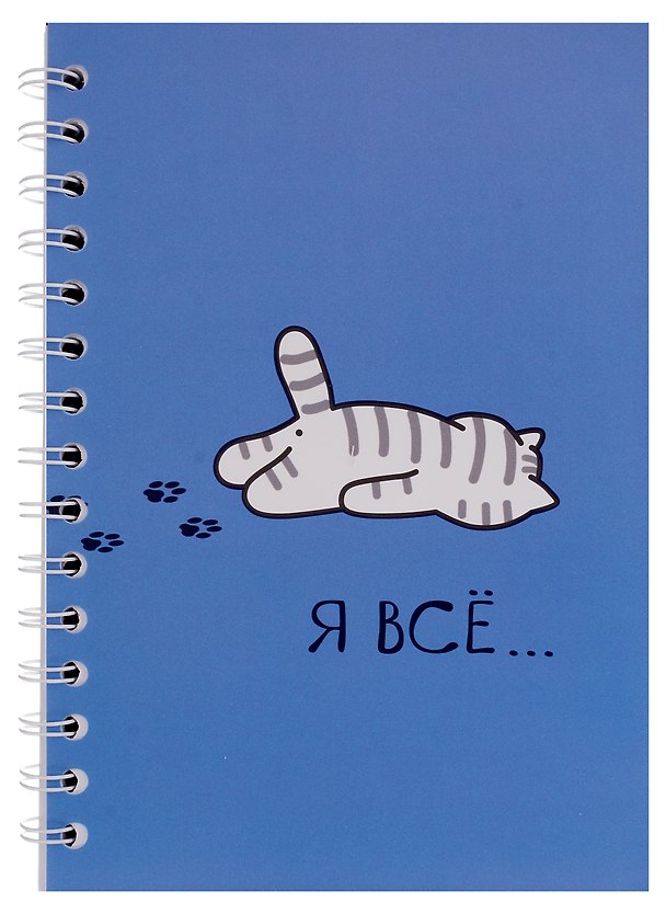 Тетрадь общая «Я всё (Котик)», 80 листов в клетку, А5 2970917 — 1