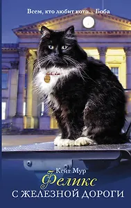 Феликс с железной дороги : роман