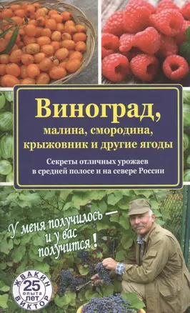 Виноград, малина, смородина, крыжовник и другие ягоды — 2455362 — 1