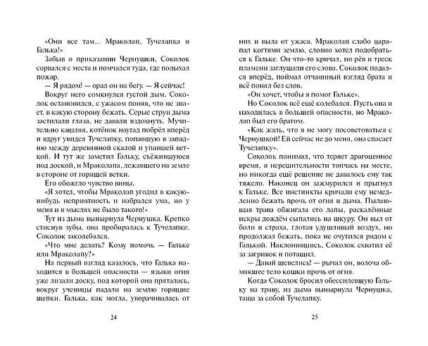 Книга Ослепление (Эрин Хантер) — 12
