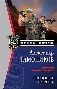 Книга Грозовые ворота (Александр Тамоников)