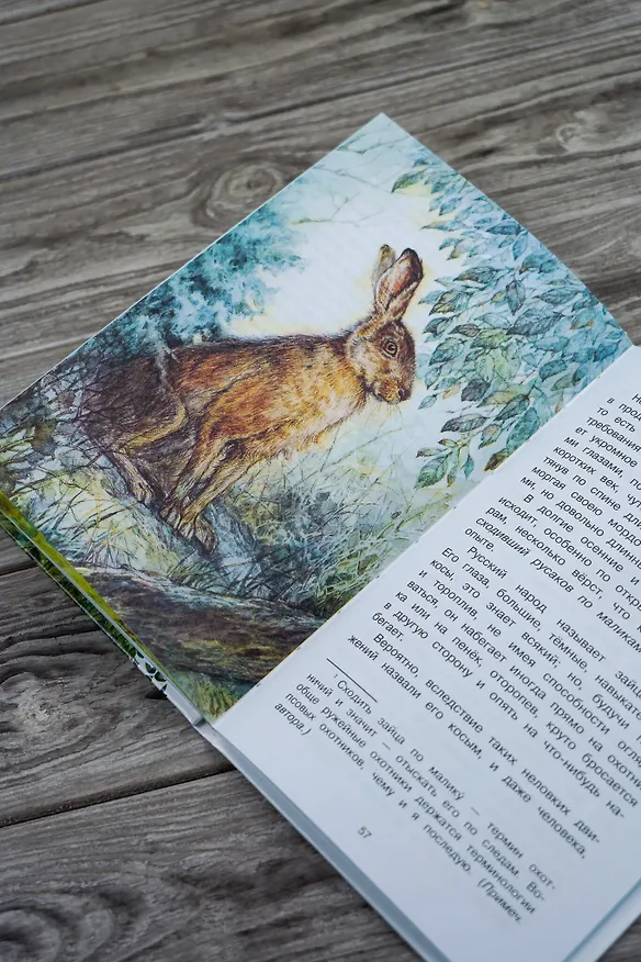 Книга Рассказы о природе (Сергей Аксаков) — 12