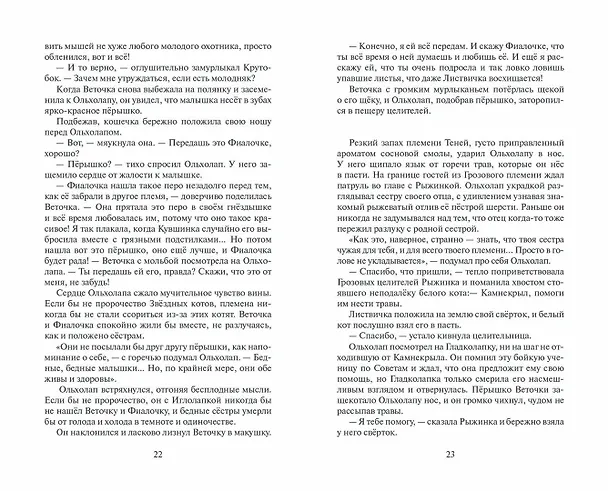 Книга Гроза и Тень (Эрин Хантер) — 14