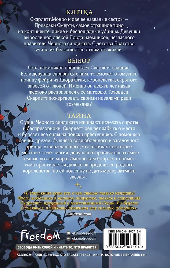 Книга Леди тьмы (#1) (Мелисса Рёрих) — 2