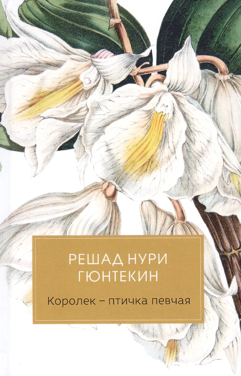 Королек-птичка певчая (Решад Нури Гюнтекин) - купить книгу с доставкой в  интернет-магазине «Читай-город». ISBN: 978-5-386-10919-6