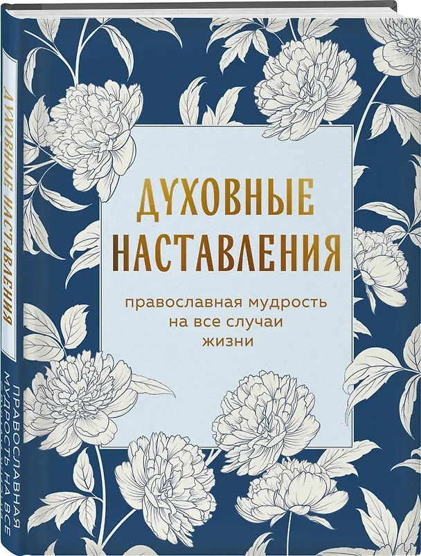 Книга Духовные наставления: православная мудрость на все случаи жизни () — 5