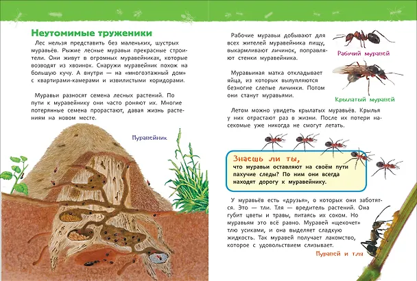 Книга В лесу (Лариса Клюшник) — 2