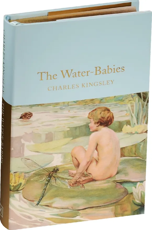 Книга The Water-Babies () — 1
