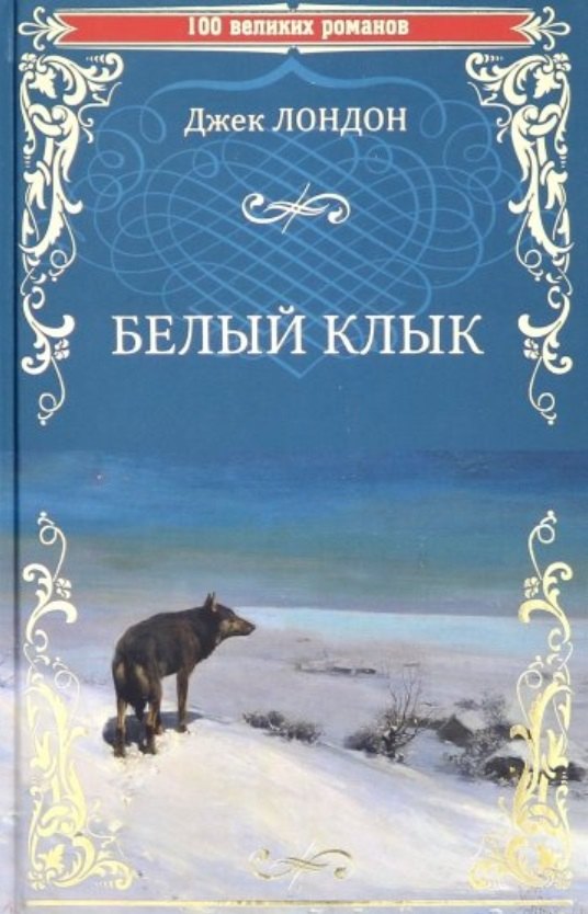 

Белый клык