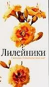 Лилейники