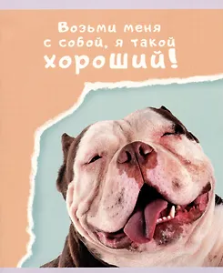 Тетрадь в линейку Listoff, "Веселые собаки", 48 листов, в ассортименте