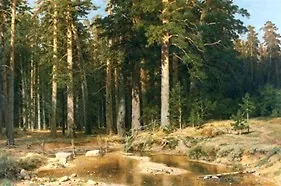 Репродукция в раме (00000135892) Шишкин И.И. Корабельная роща (50х70) 2316222