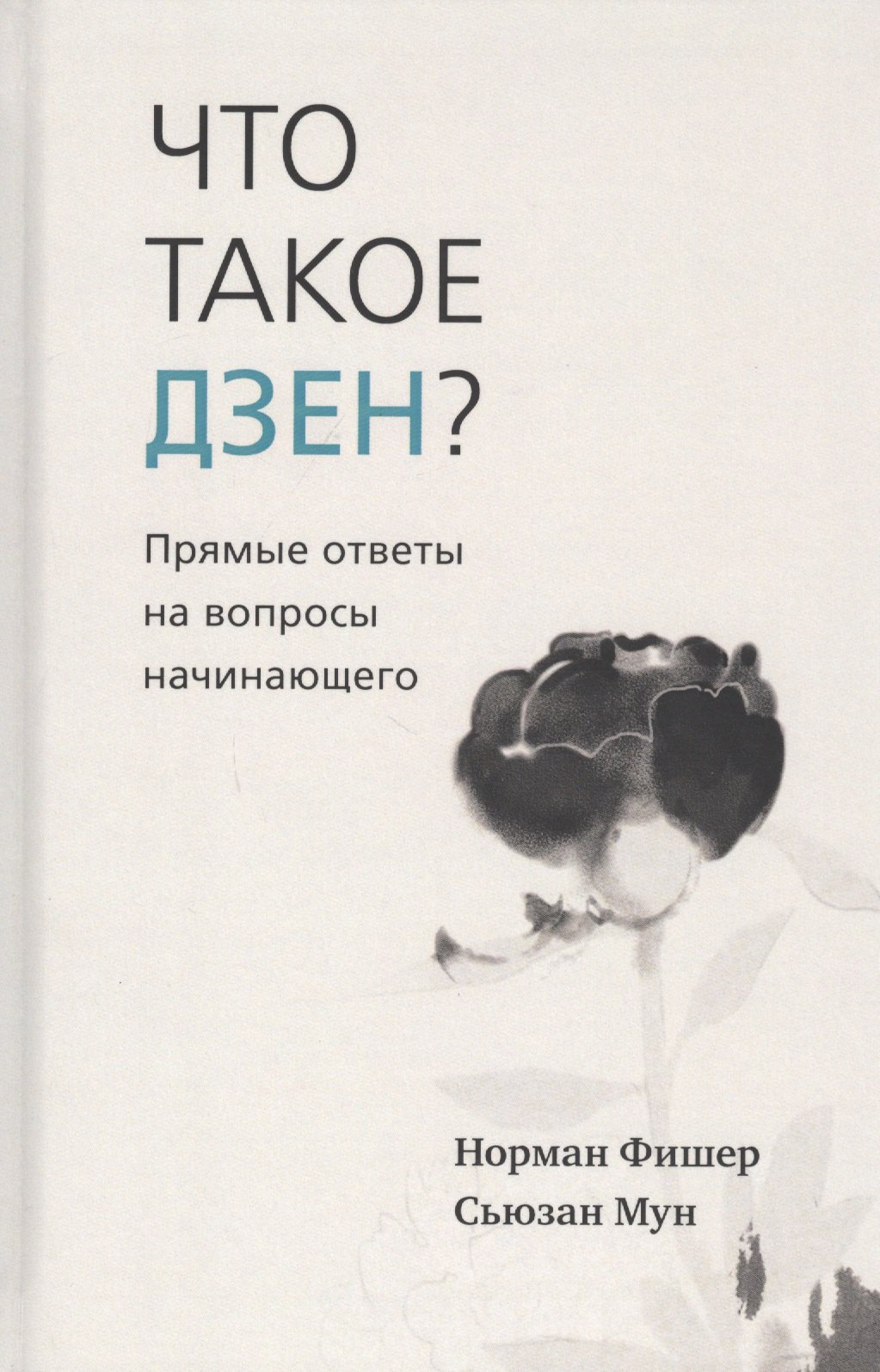 

Что такое дзен Прямые ответы на вопросы начинающего