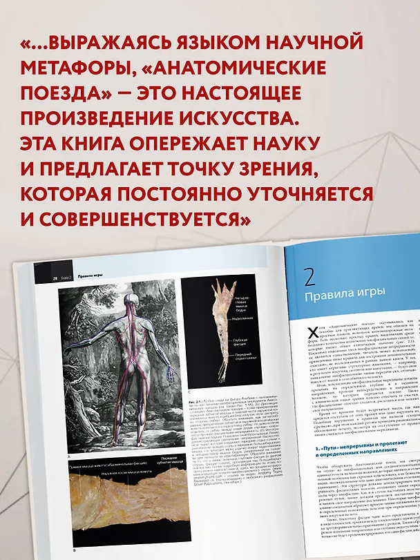 Книга Анатомические поезда (Томас Майерс) — 12