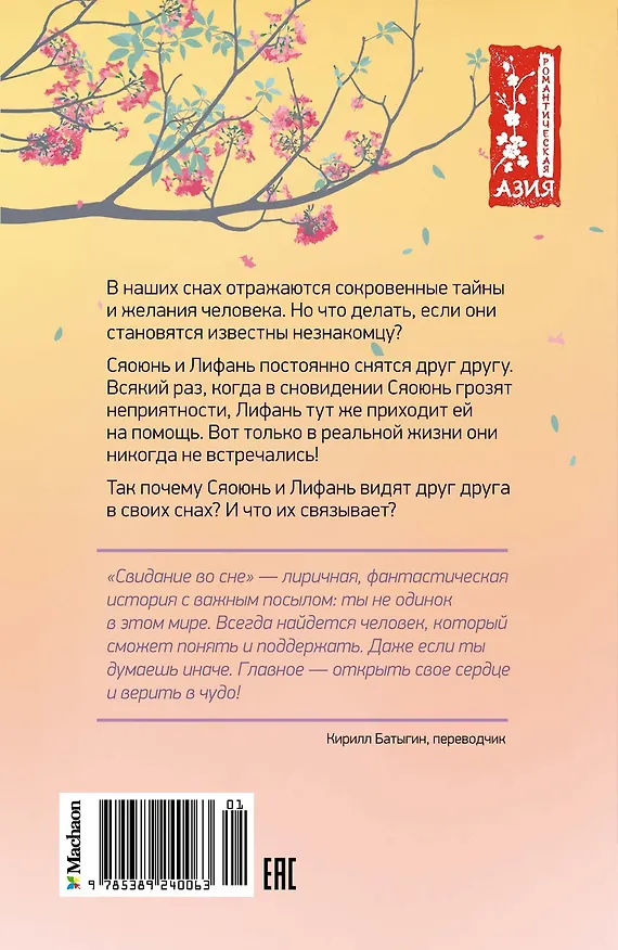 Книга Свидание во сне (Сюй Шуцинь) — 2