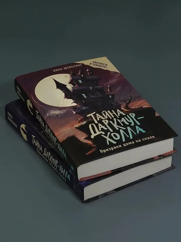 Книга Тайна Даркмур-Холла. Призраки дома на скале (Нина Шевелинг) — 9