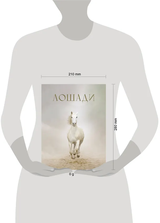 Книга Лошади (Анна Спектор) — 5