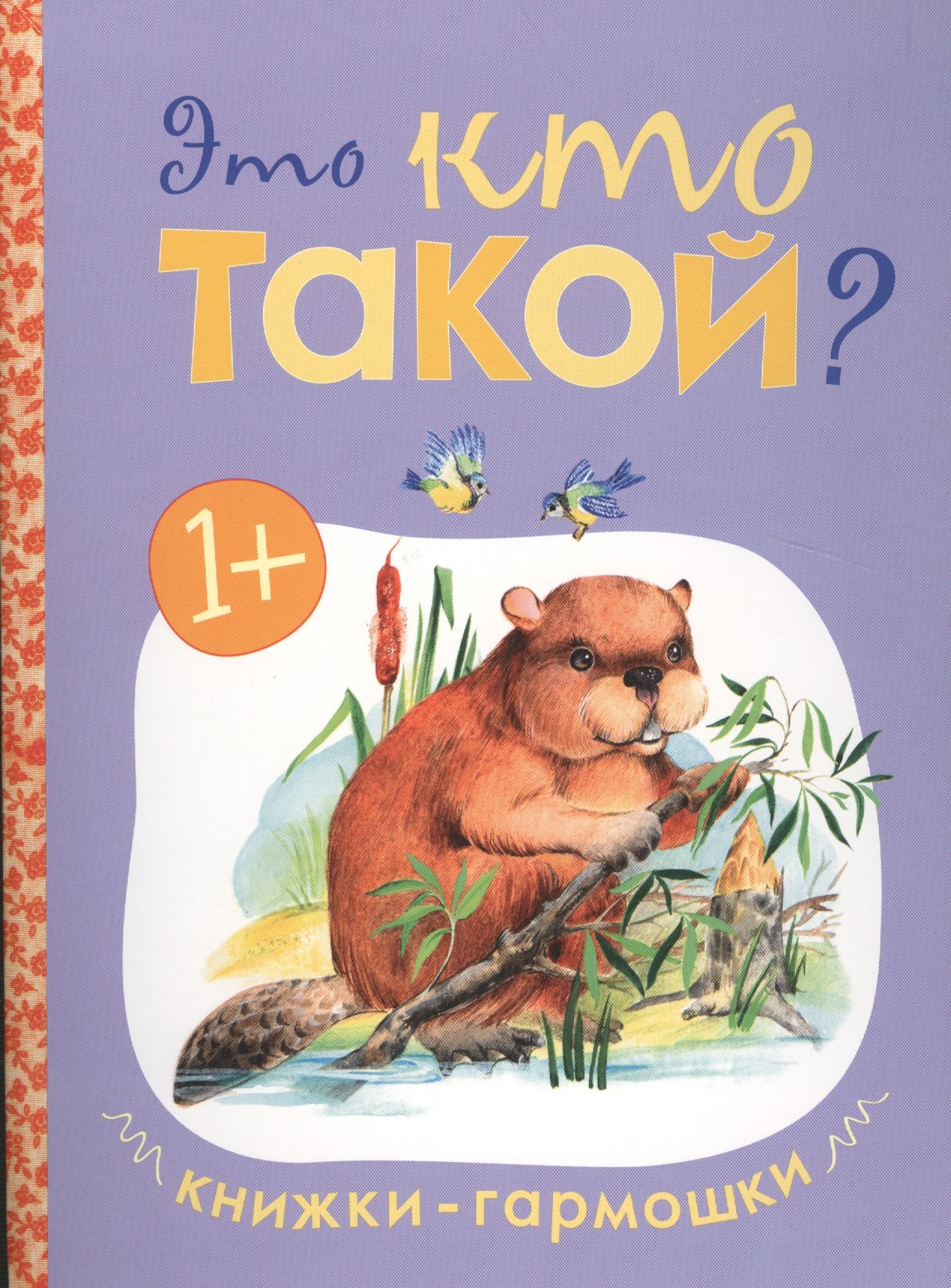 

Книжки-гармошки. Это кто такой