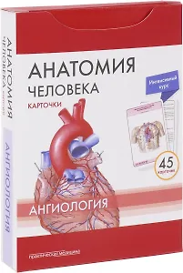 Анатомия человека Ангиология (45 карт.) (упаковка) Сапин