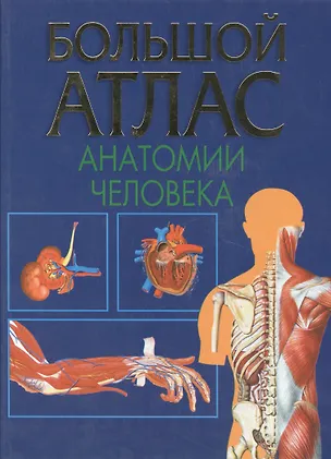 Книга Большой атлас анатомии человека (Владимир Воробьев)