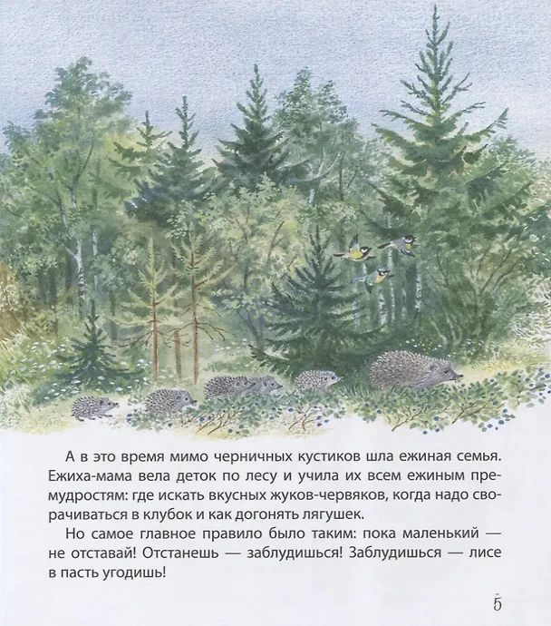 Книга Самый маленький ежик (Наталья Чарушина-Капустина) — 2