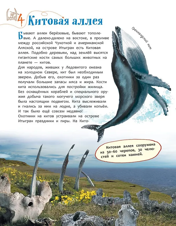 Книга 100 чудес России (Лариса Клюшник) — 9