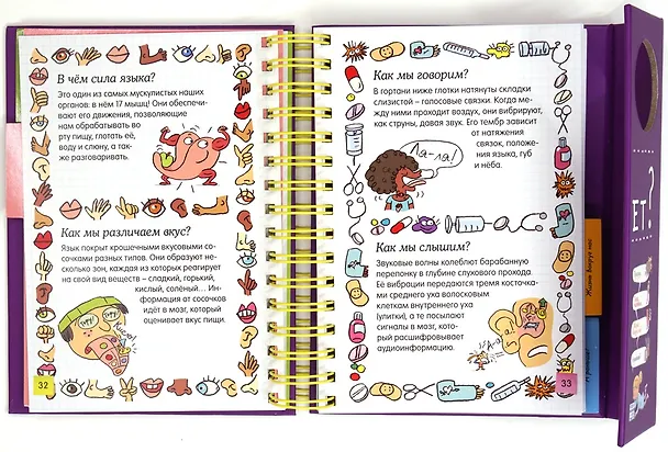 Книга Как это работает? (энциклопедия на пружине) (Софи де Мюлленхейм) — 7