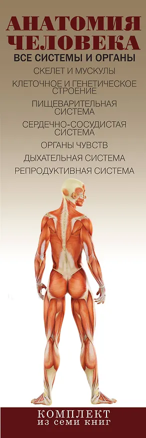 Книга Анатомия человека. Все системы и органы (Елена Вороникова) — 3